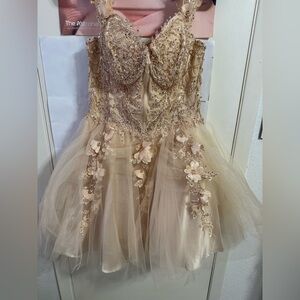 Charming Floral Embellished Juniors Dress